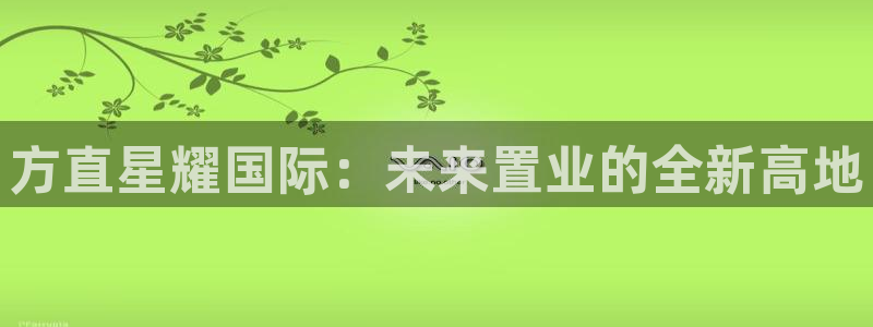 万事娱乐5注册：方直星耀国际：未来置业的全新高地