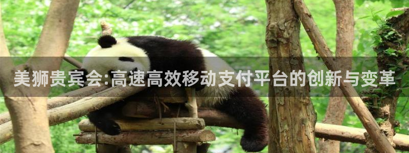 万事娱乐平台：美狮贵宾会:高速高效移动支付平台的创新与变革