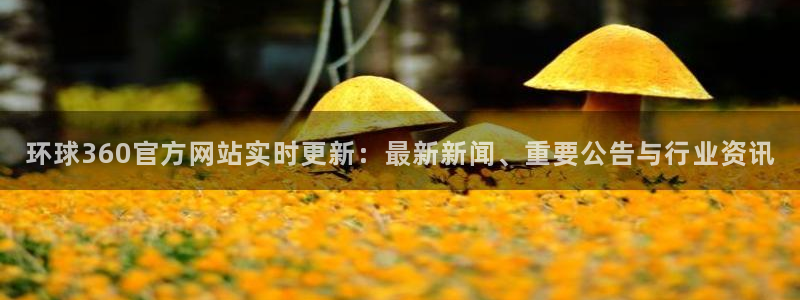 万事娱乐体育app下载：环球360官方网站实时更新：最新新闻、重要公告与行业资讯
