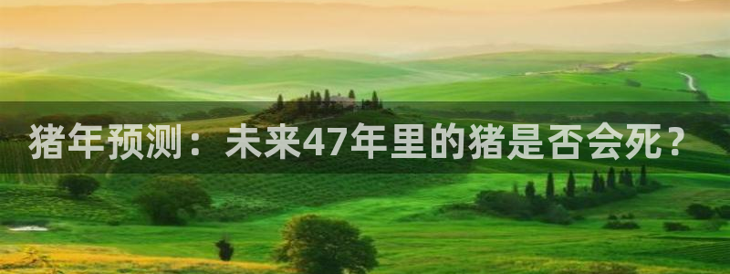 万事娱乐体育4：猪年预测：未来47年里的猪是否会死？