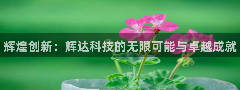 万事娱乐体育4：辉煌创新：辉达科技的无限可能与卓越成就