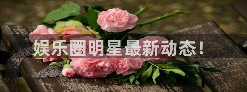 万事娱乐代理注册官网入口：娱乐圈明星最新动态！