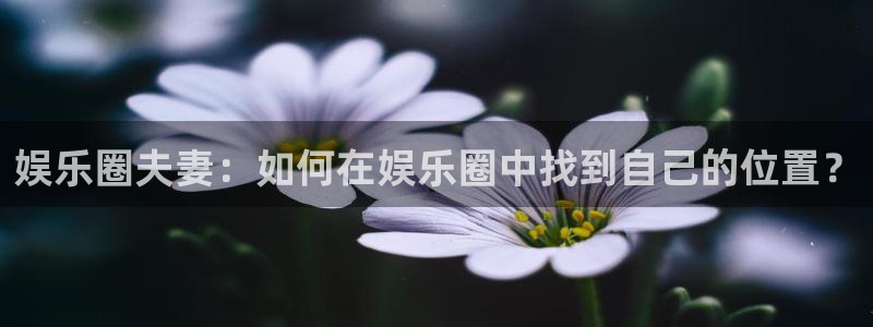 万事娱乐集团股票：娱乐圈夫妻：如何在娱乐圈中找到自己的位置？