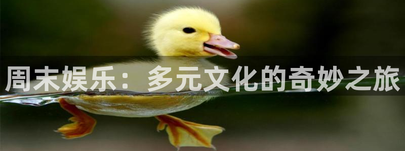 佛山市南海万事娱乐机电仪器有限公司：周末娱乐：多元文化的奇妙之旅