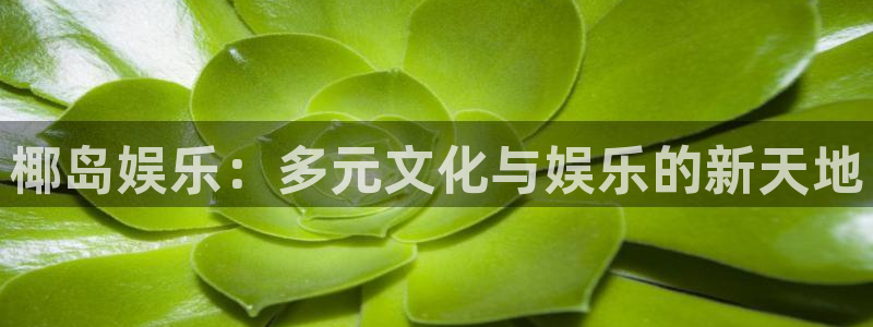 万事娱乐官网注册：椰岛娱乐：多元文化与娱乐的新天地