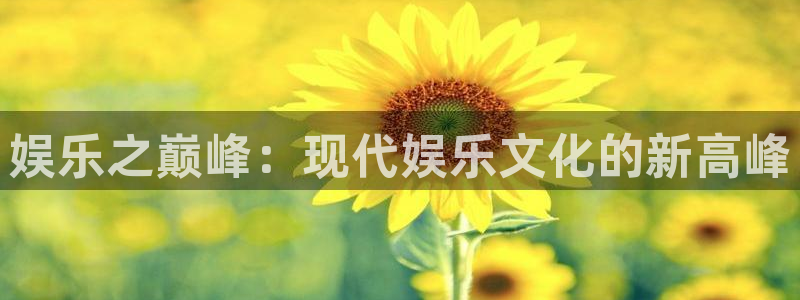 万事娱乐体育官网登录：娱乐之巅峰：现代娱乐文化的新高峰