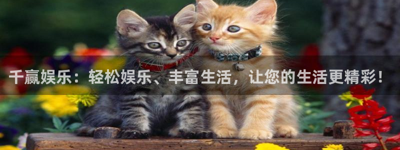佛山市南海万事娱乐机电仪器有限公司：千赢娱乐：轻松娱乐、丰富生活，让您的生活更精