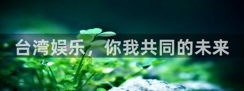 万事娱乐体育平台注册：台湾娱乐，你我共同的未来
