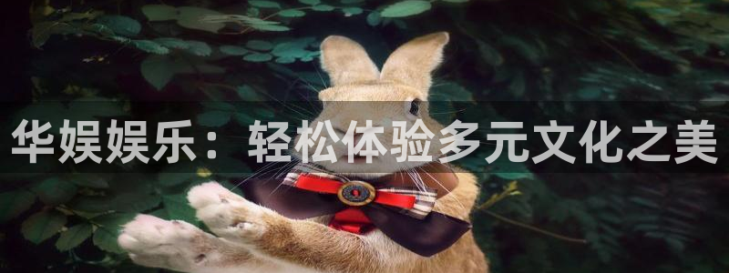 万事娱乐体育老板是谁：华娱娱乐：轻松体验多元文化之美