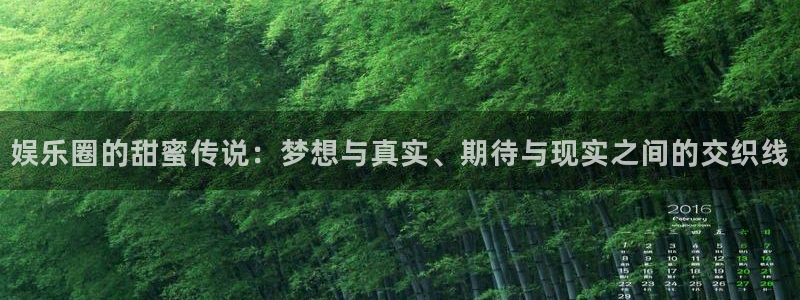 万事娱乐体育2：娱乐圈的甜蜜传说：梦想与真实、期待与现实之间的交织线