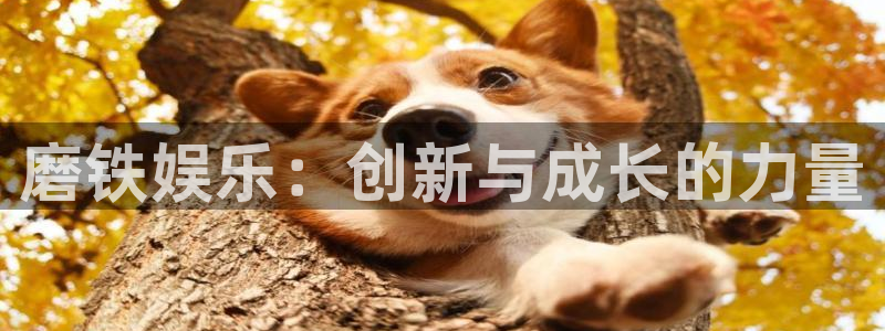 万事娱乐4代理：磨铁娱乐：创新与成长的力量