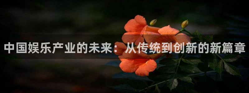 万事娱乐体育免费注册入口：中国娱乐产业的未来：从传统到创新的新篇章