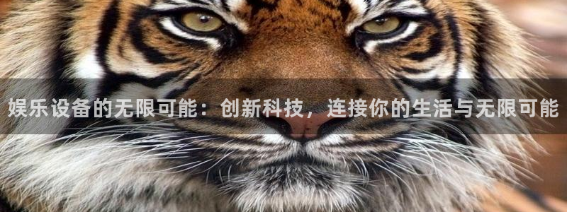万事娱乐体育注册代理：娱乐设备的无限可能：创新科技，连接你的生活与无限可能