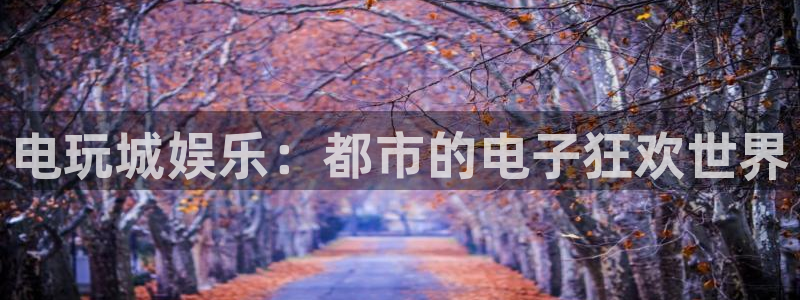www.万事娱乐体育.com：电玩城娱乐：都市的电子狂欢世界