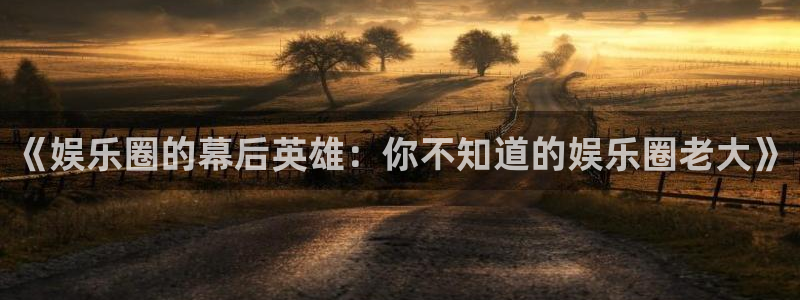 万事娱乐3平台注册：《娱乐圈的幕后英雄：你不知道的娱乐圈老大》