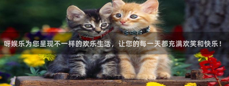 万事娱乐kgame：呀娱乐为您呈现不一样的欢乐生活，让您的每一天都充满欢笑和快乐