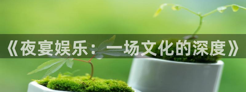 万事娱乐体育用品：《夜宴娱乐：一场文化的深度》