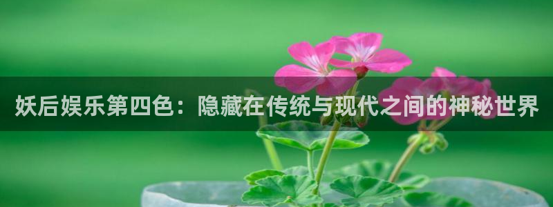 万事娱乐平台注册入口：妖后娱乐第四色：隐藏在传统与现代之间的神秘世界