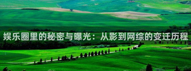 佛山市南海万事娱乐机电仪器有限公司：娱乐圈里的秘密与曝光：从影到网综的变迁历程