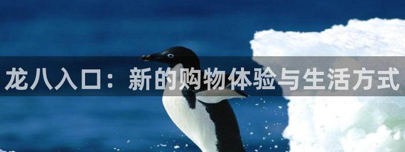 万事娱乐平台：龙八入口：新的购物体验与生活方式