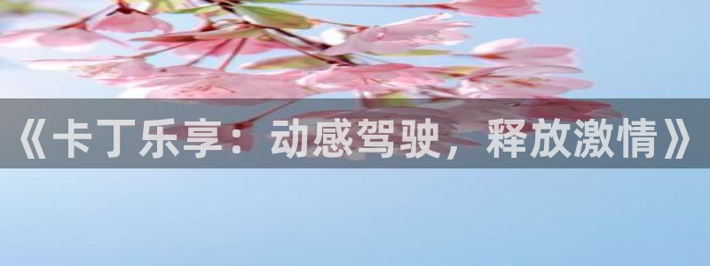 万事娱乐体育平台注册：《卡丁乐享：动感驾驶，释放激情》