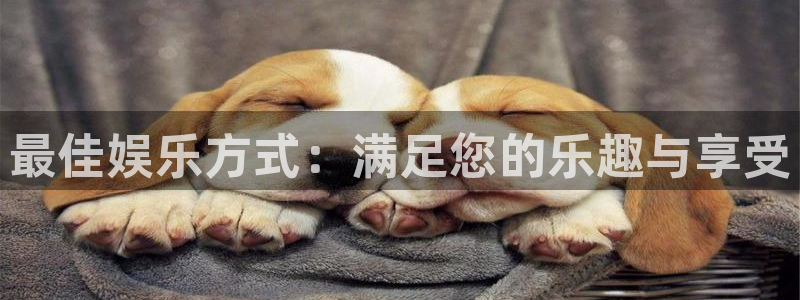 万事娱乐4官网：最佳娱乐方式：满足您的乐趣与享受
