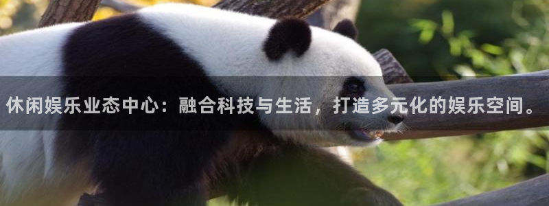 万事娱乐4平台：休闲娱乐业态中心：融合科技与生活，打造多元化的娱乐空间。