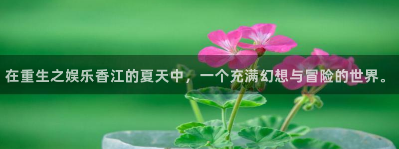 万事娱乐体育平台注册：在重生之娱乐香江的夏天中，一个充满幻想与冒险的世界。