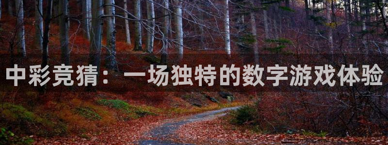 万事娱乐平台开户：中彩竞猜：一场独特的数字游戏体验