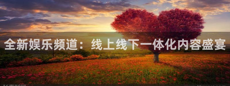 万事娱乐5招商：全新娱乐频道：线上线下一体化内容盛宴