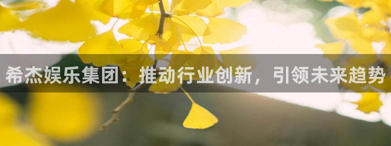 万事娱乐体育游戏：希杰娱乐集团：推动行业创新，引领未来趋势