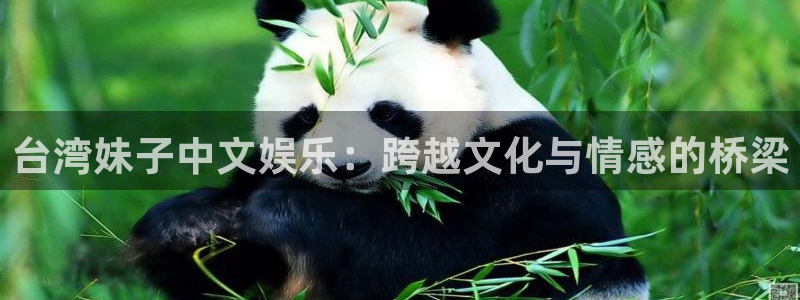 万事娱乐5注册：台湾妹子中文娱乐：跨越文化与情感的桥梁